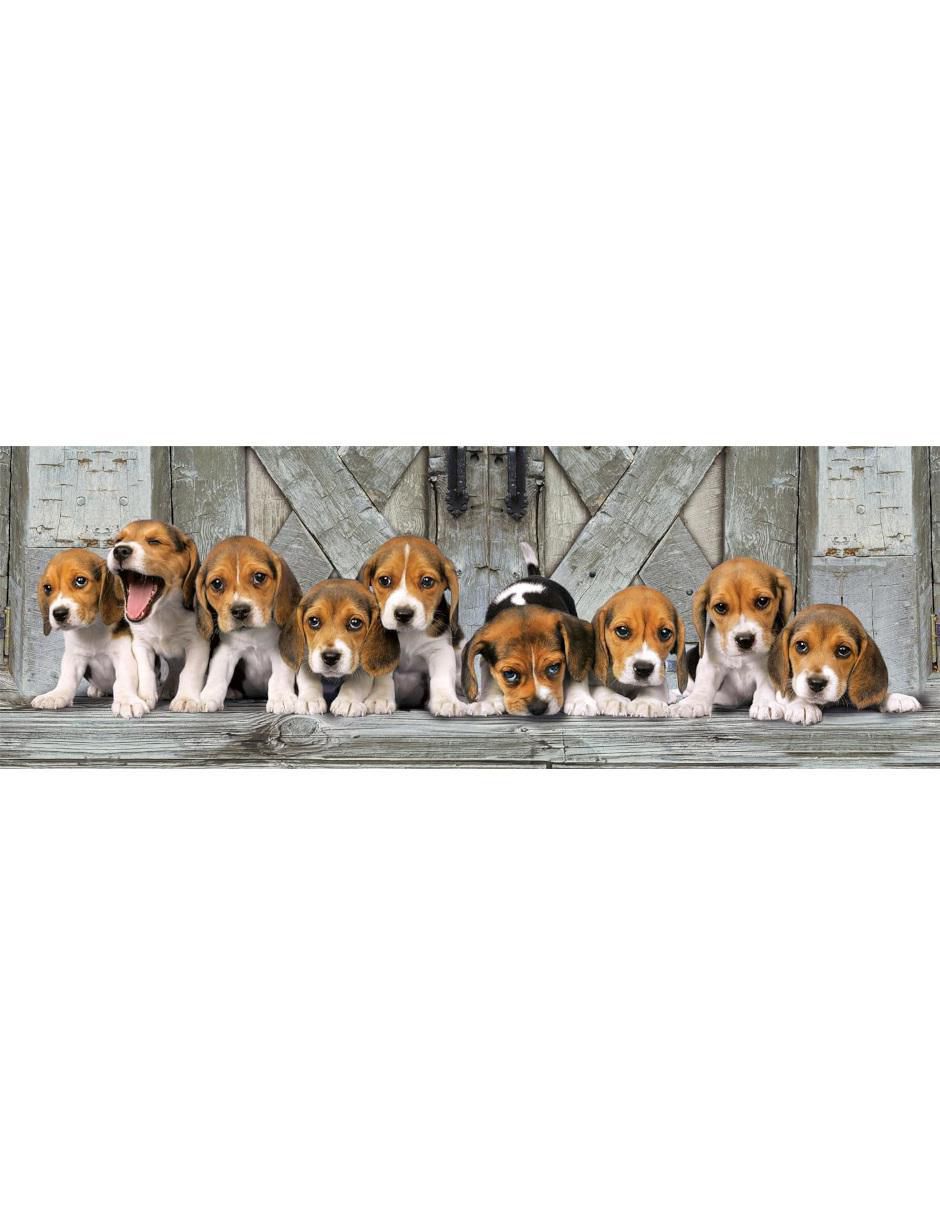 Rompecabezas perritos beagles (compact pro ecologia) 1000 piezas 2