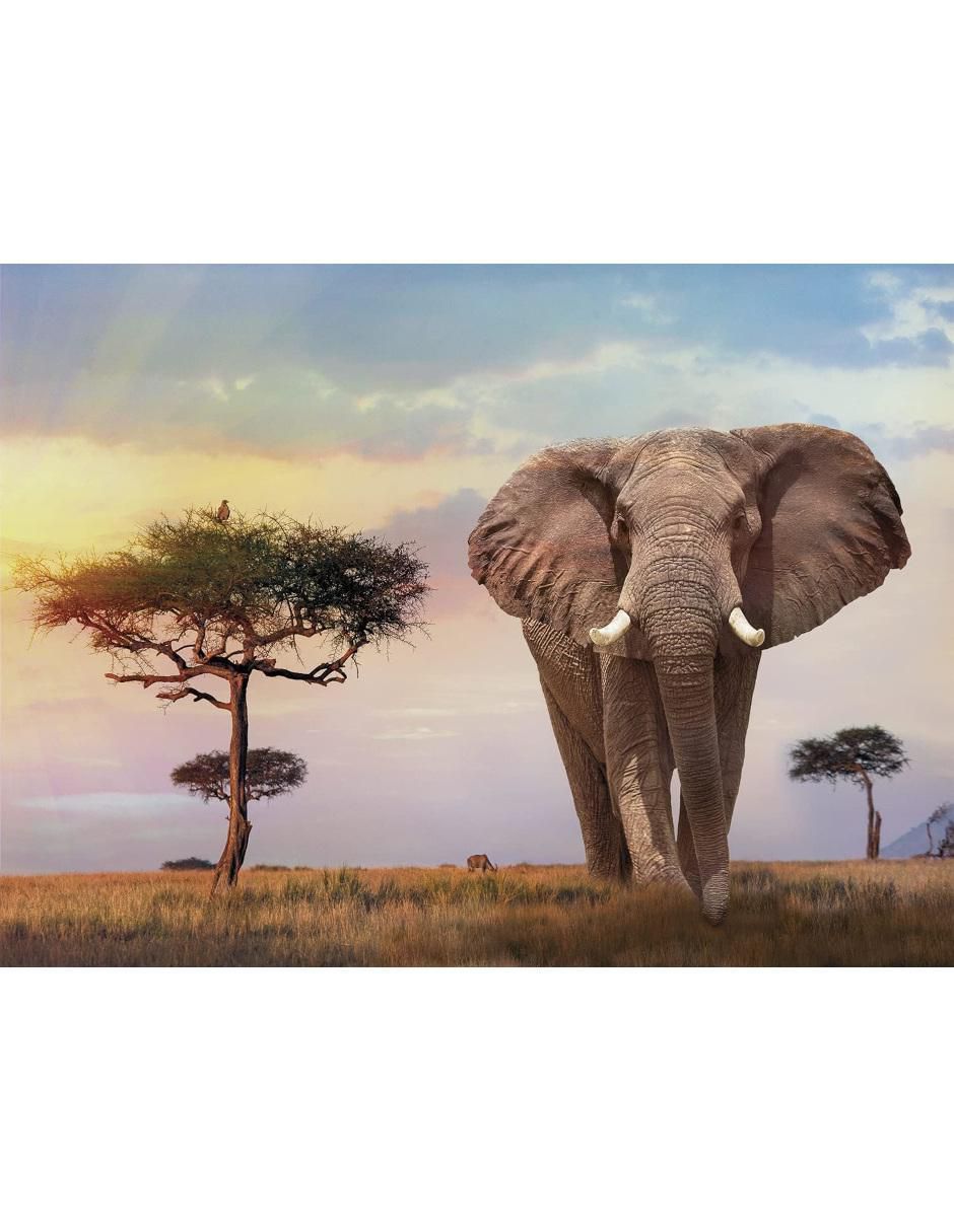 Rompecabezas elefantes Atardecer en África 500 piezas 2