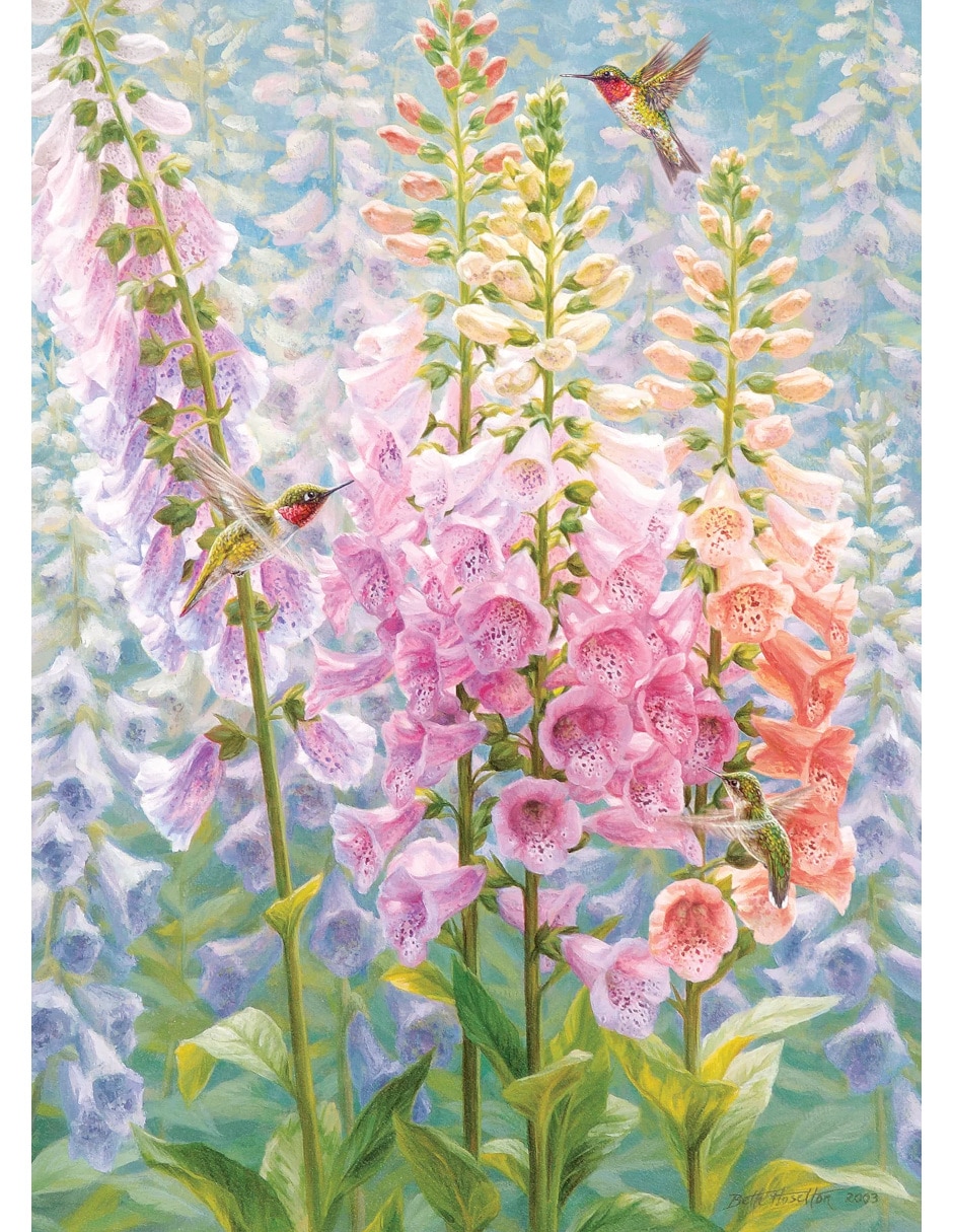 Rompecabezas Flores Summer Rainbow 500 piezas 2