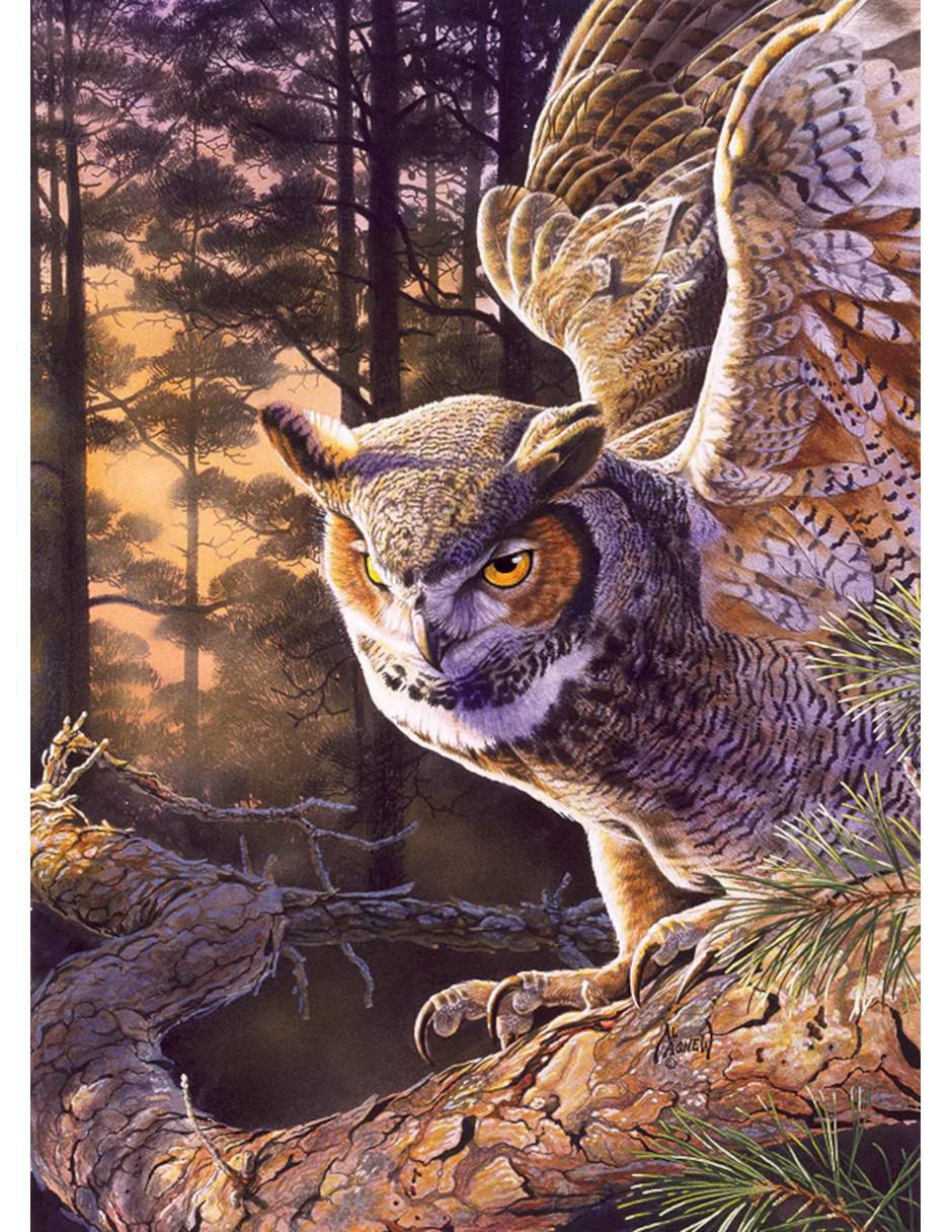 Rompecabezas Animales Cazador Nocturno 1000 piezas 2
