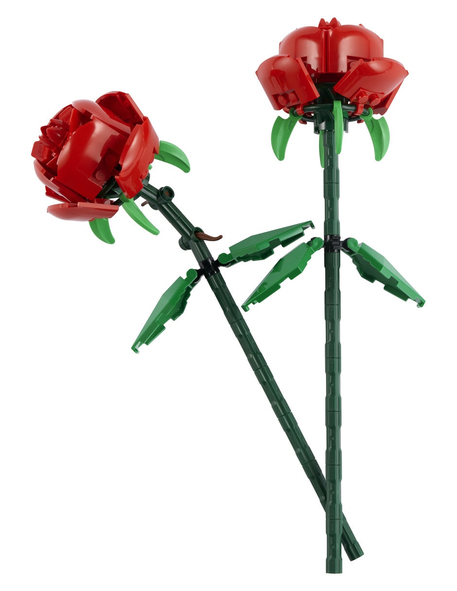 Set LEGO Botanicals rosas 40460 3