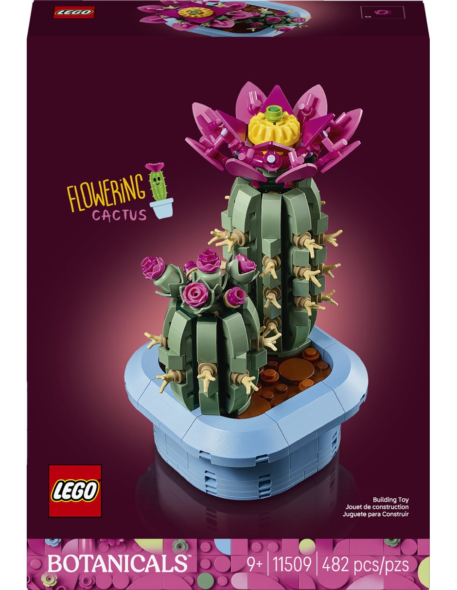 Cactus en Flor 11509 3