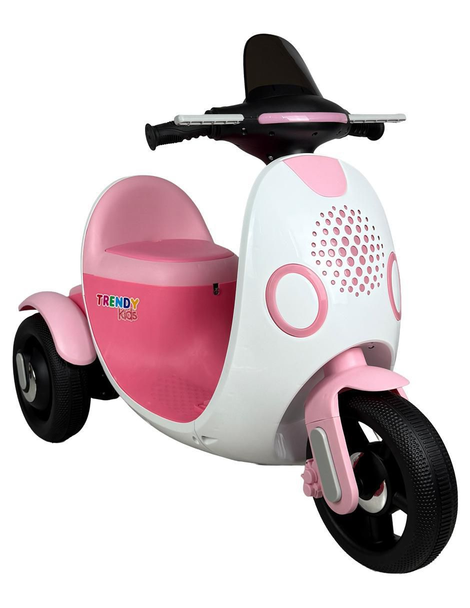 Scooter manual 3
