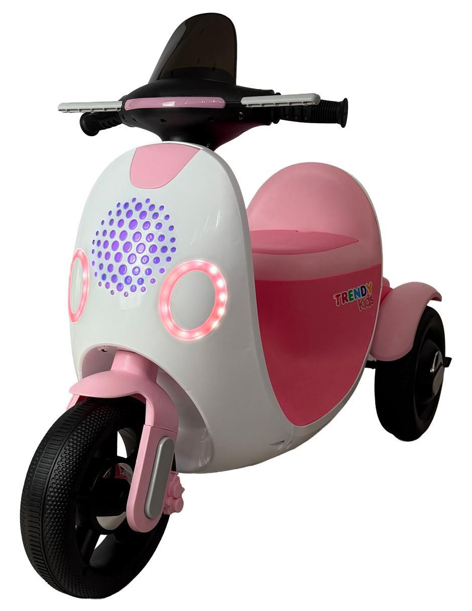 Scooter manual 8
